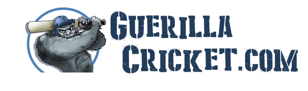 Guerilla Cricket